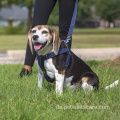 Langlebiger Neigungs -Denim -Hundekabelbaum